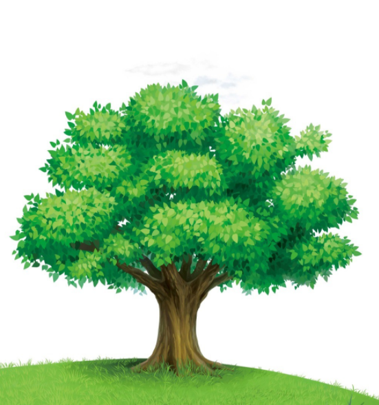 聰明的人善于經(jīng)營親密關系