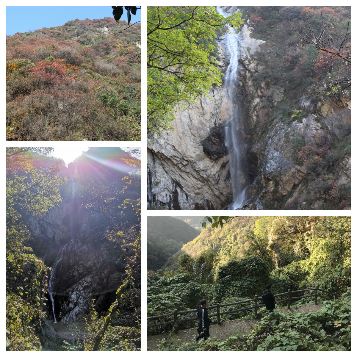 1699008147167183.jpg 86763453.jpg